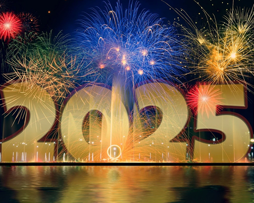 Happy New Year 2025 Spreading Bliss Foundation






        