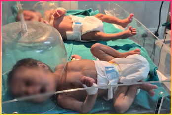 baby-of-chandani Image