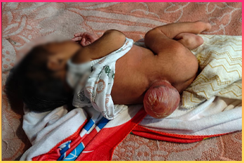 baby-of-rubina Image