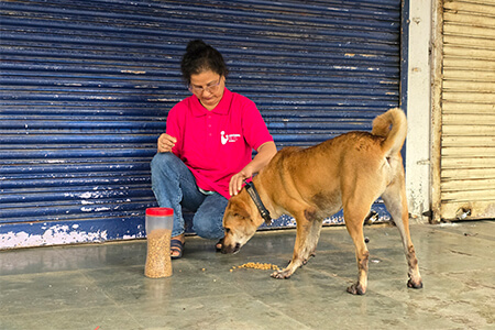 World Animal Day with Spreading Bliss Foundation