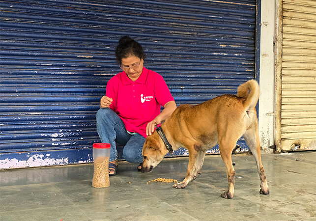 World Animal Day with Spreading Bliss Foundation