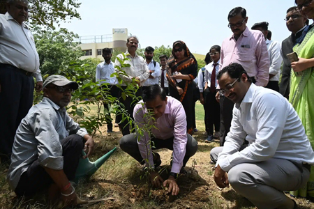  Tree Plantation





        